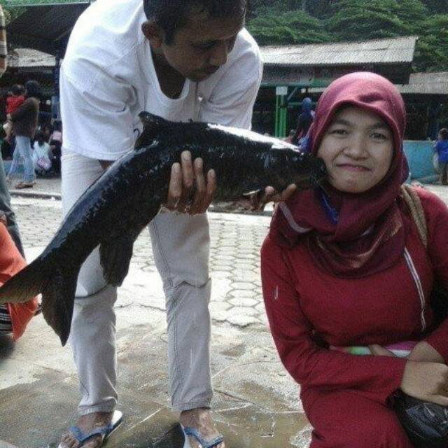 dewiaenulwahidah