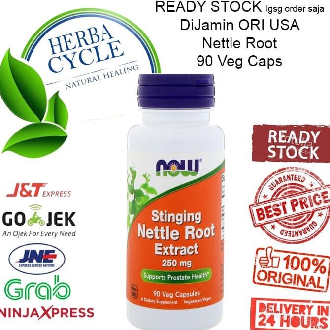 Now Food Stinging Nettle Root 250 mg (90 Veg) Now Nettle Root Prostat Lc