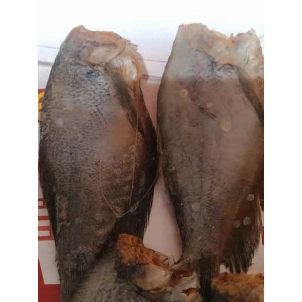 

ASIN SEPAT .Ukuran sedang per 250gr