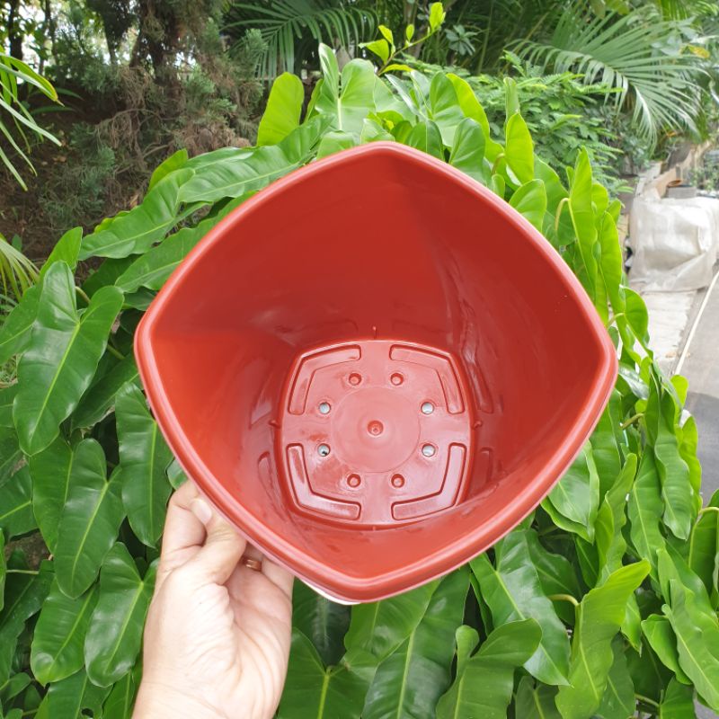 BJP TWISTER 20 : pot bunga unik motif batu coral ukuran 20cm bagus murah