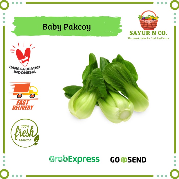 

Baby Pakcoy / Pokcoy | Sayur N Co Bekasi