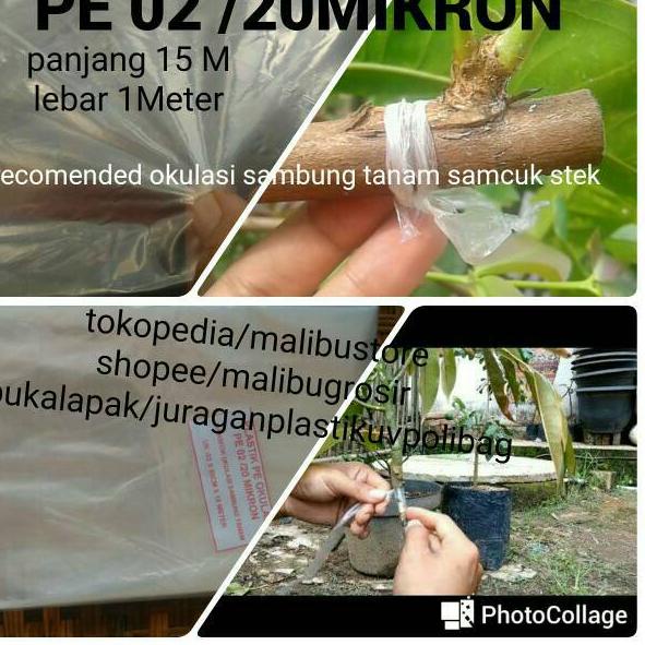 [PRODUK EP6KD] Plastik Okulasi Cangkok PE 02 15M LFG