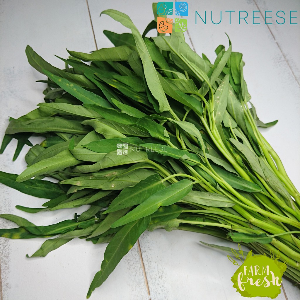 

Daun Kangkung Segar (1 ikat) 350 gr Nutreese