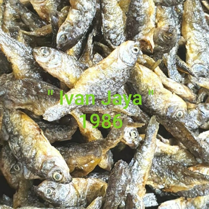 

Ikan Danau singkarak/bilih/Tawar Padang500 gram