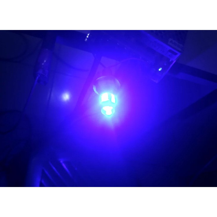 Led T10 Lensa Canbus 12 Volt