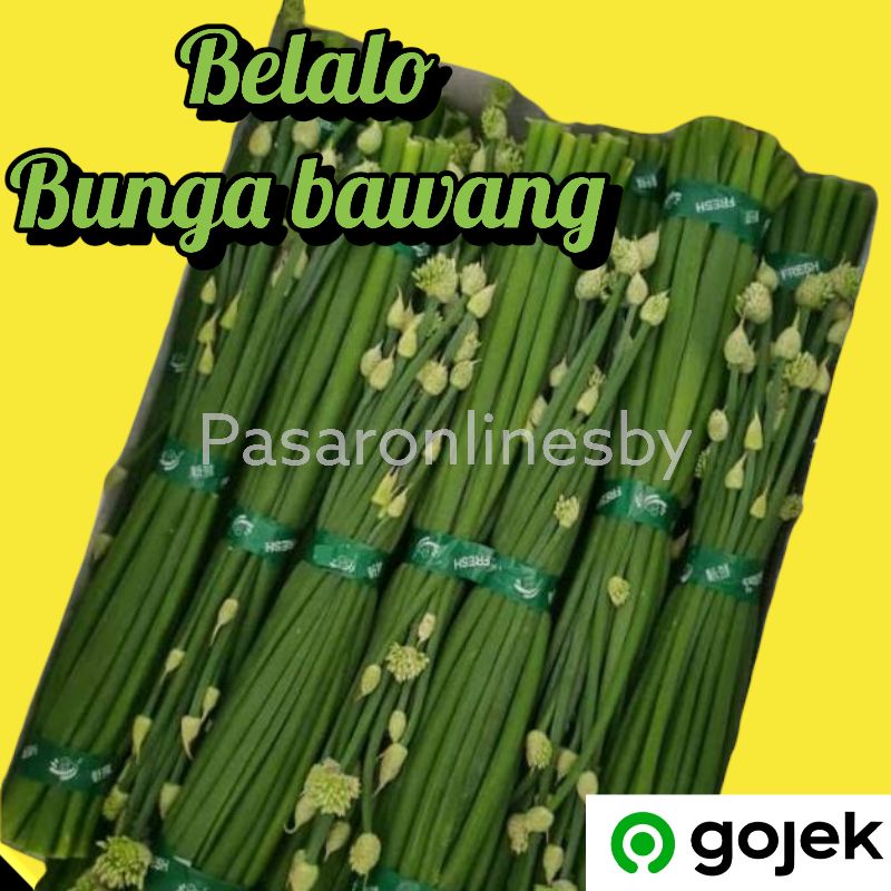 

PASAR GUBENG - Belalo / Belalu / Bunga bawang merah perikat