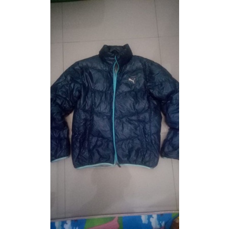 prelove puma bulu angsa ori