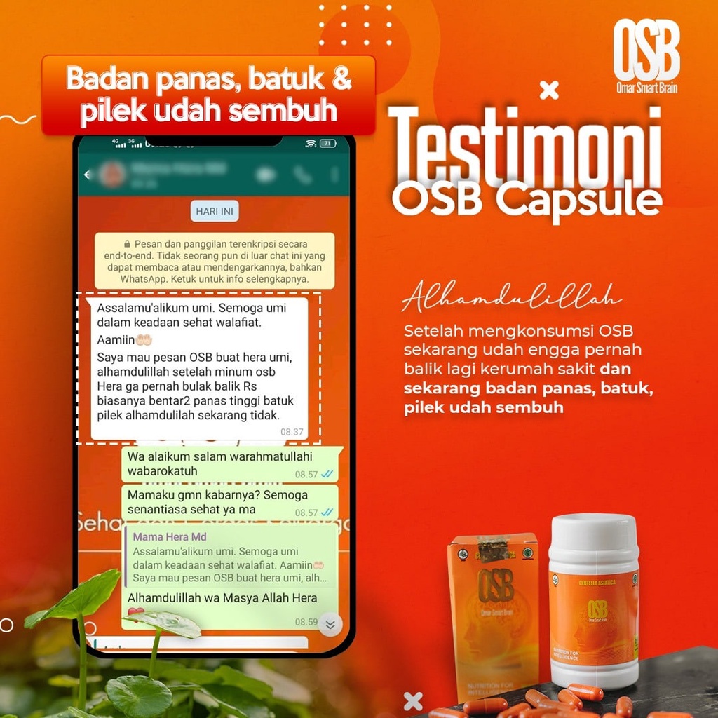 OSB Vitamin Otak Anak dan dewasa Omar Smart Brain Kapsul 100 % Produk Asli &amp; Original