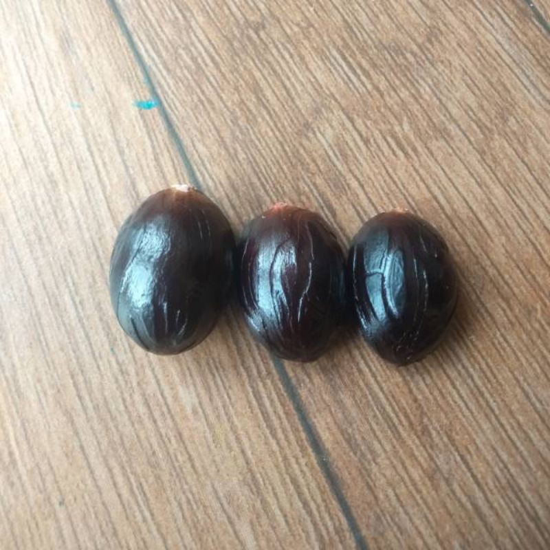 biji pala tua basah 1 kg siap jemur