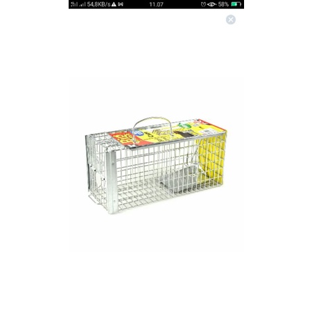 perangkap kandang tikus