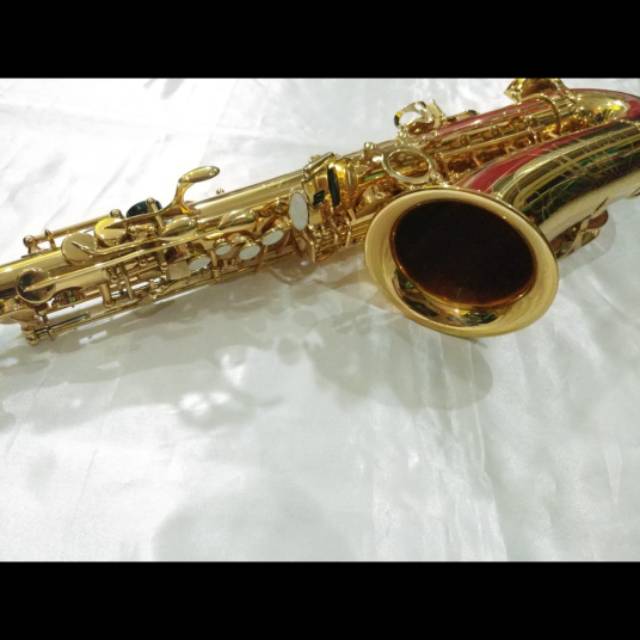 NEW Walker Alto Saxophone