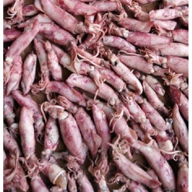

ikan cumi asin baby 250 gram