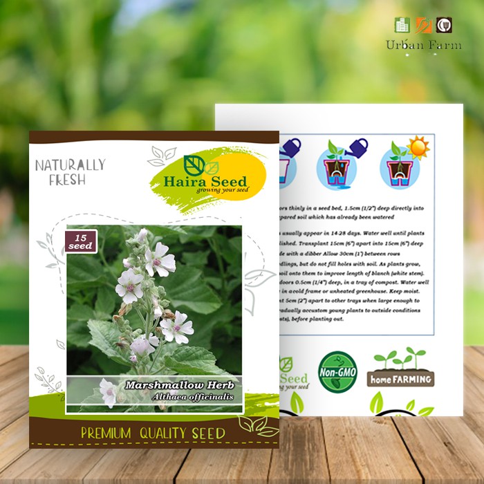 Benih-Bibit Herbal Marshmallow (Haira Seed)