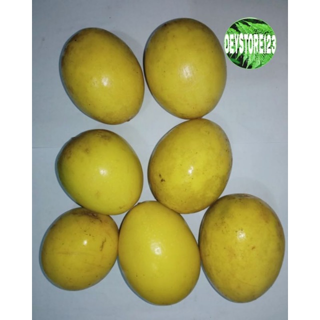 

Buah markisa saprola kuning segar berat 1 kg