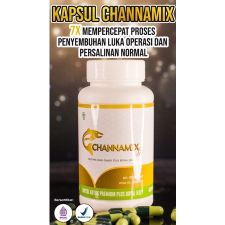 KAPSUL EKSTRAK IKAN GABUS CHANNAMIX | KUALITAS PREMIUM