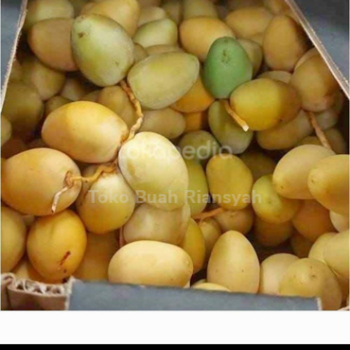 

Kurma Terbaru - Kurma Muda Baladi Manis Kurma Baladi Fresh Inforrt