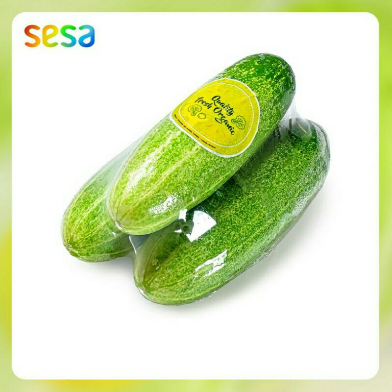 

Timun Lokal Fresh // Sayuran Timun 500 gr