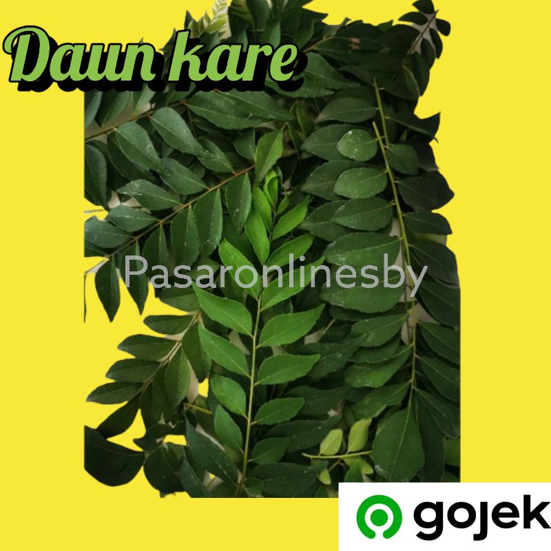 

Daun Kare/Daun Kari/Daun Curry Per bks