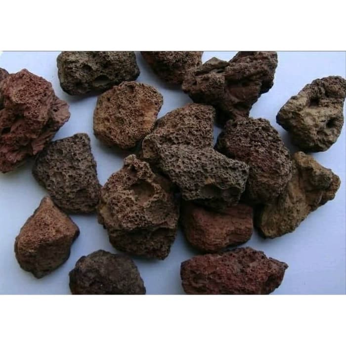  Batu  Hiasan Aquascape Lava  Rock  1 kg Shopee Indonesia