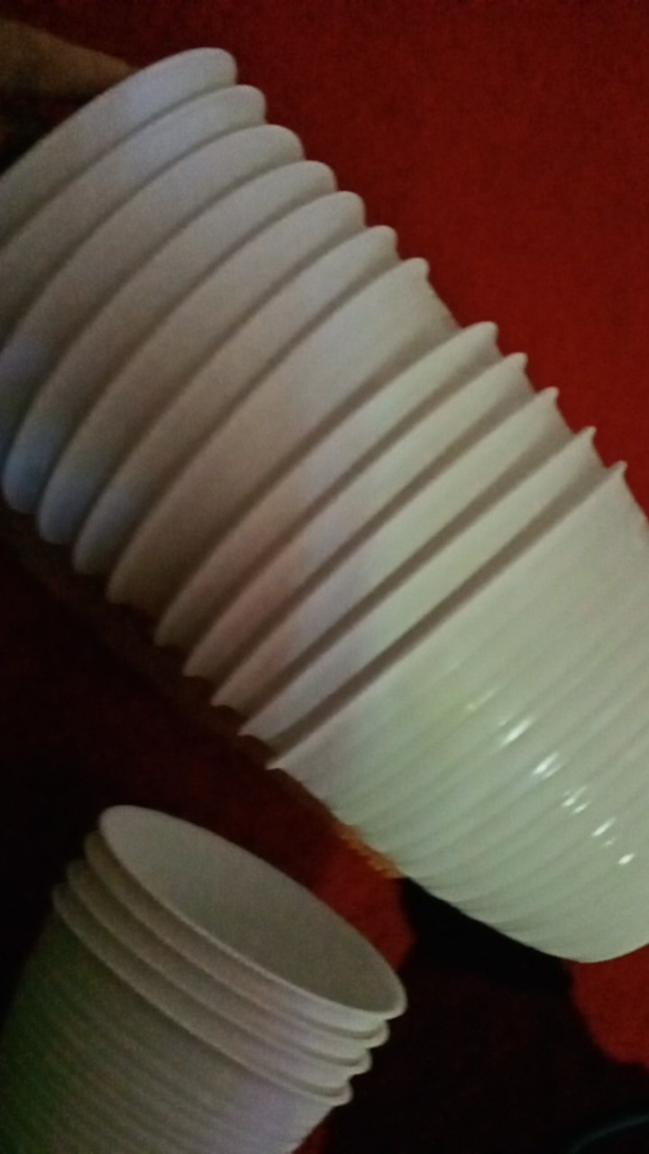 Pot Tawon 15 Cm Plastik