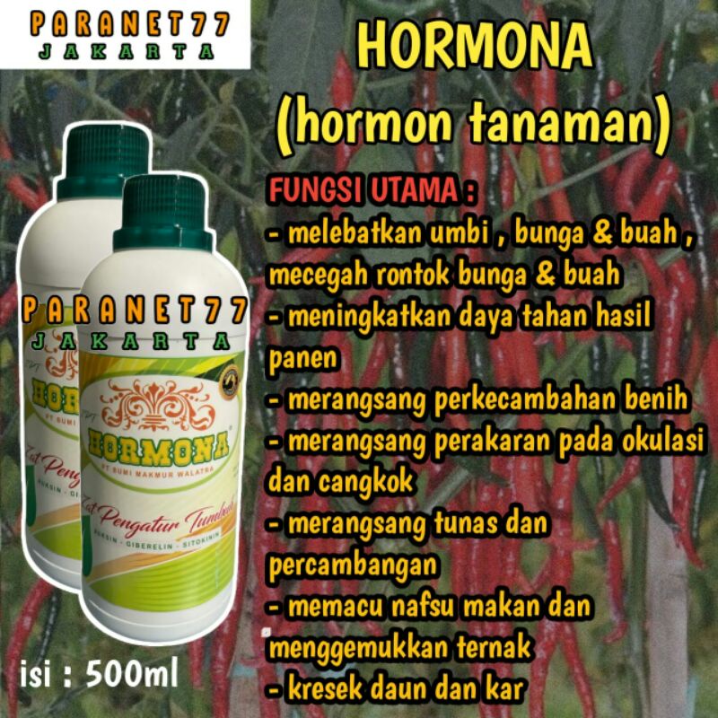 HORMONA