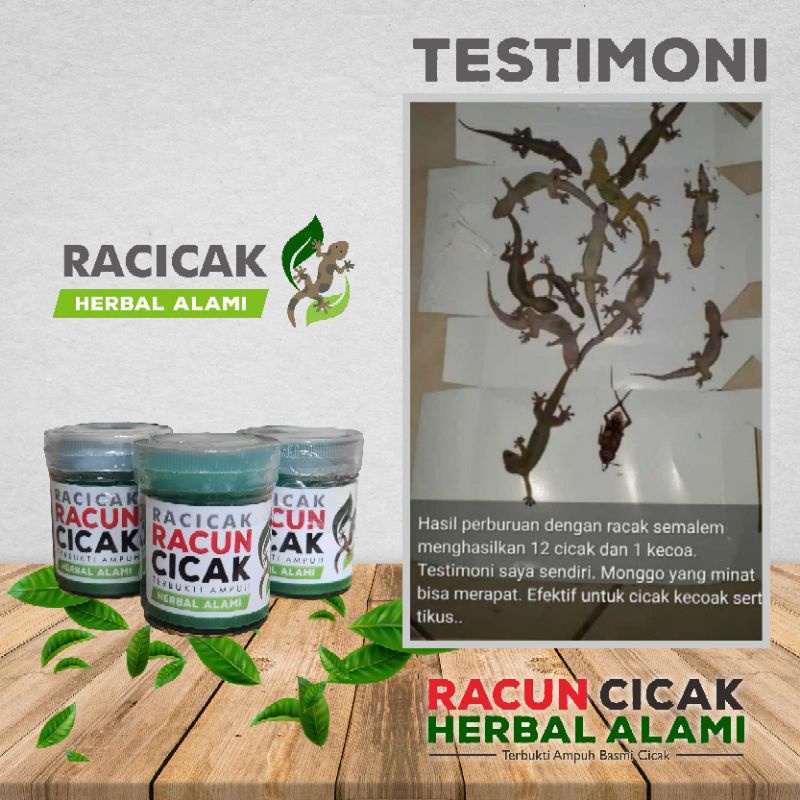 Racicak racun cicak herbal ampuh membasmi cicak kecoa dan tokek racak