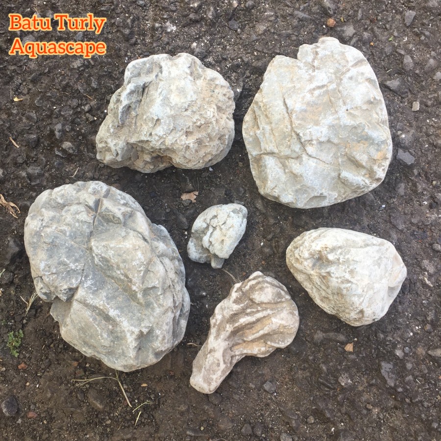 Batu Turly Turli Truly Stone Aquascape Aquarium Paludarium Decor Taman Pot dll