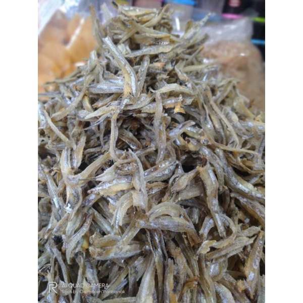 

Teri belah pontianak