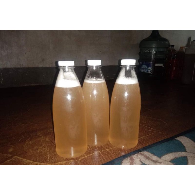 

Madu Muda /bening