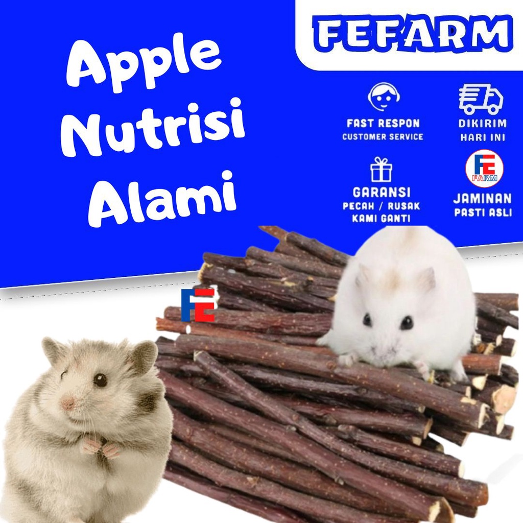 HAMSTER - GIGITAN HAMSTER APEL - APPLE ORCHAD STICK KELINCI TUPAI FEFARM