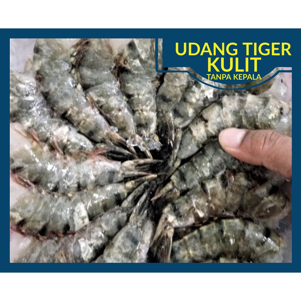 Jual Udang Tiger Kulit Tanpa Kepala Shopee Indonesia