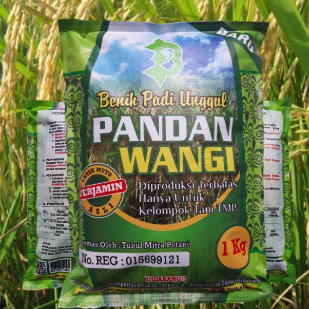 ♫ Benih Padi Pandan Wangi ✿