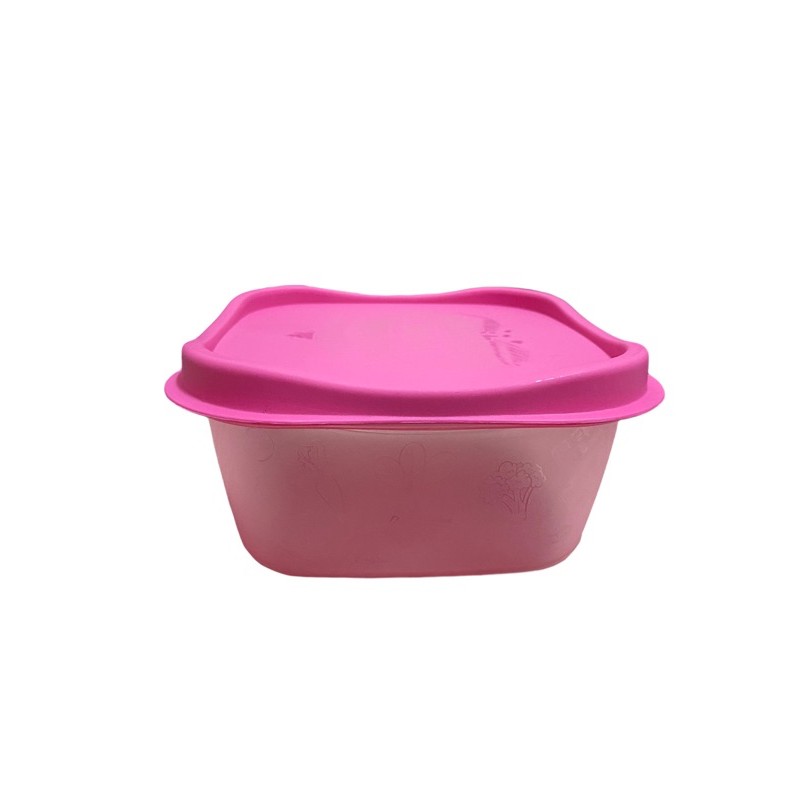 Food Container Wadah MPASI warna dan model random.