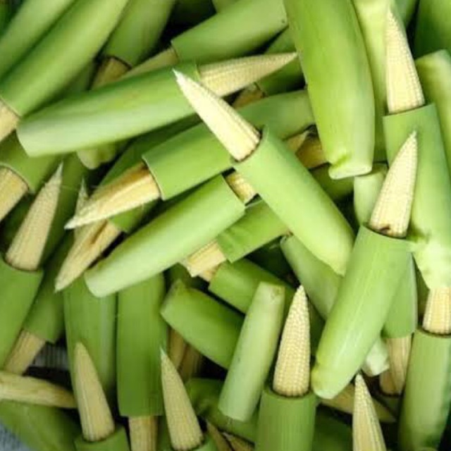 

JAGUNG MUDA 250gr (PUTREN / SOLENG)