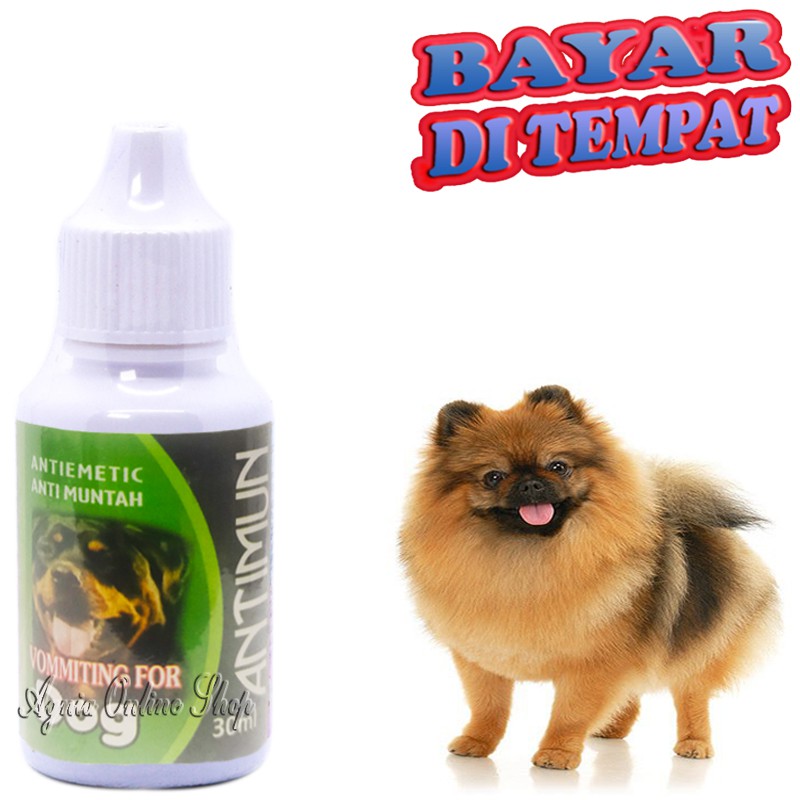 Obat Muntah Anjing ANTIMUN DOG Sakit Pencernaan Perut