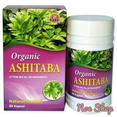 Kapsul Daun Ashitaba Organic (Seledri Jepang) Herbal 21 Original - Hipertensi Diabetes Hepatitis Dll