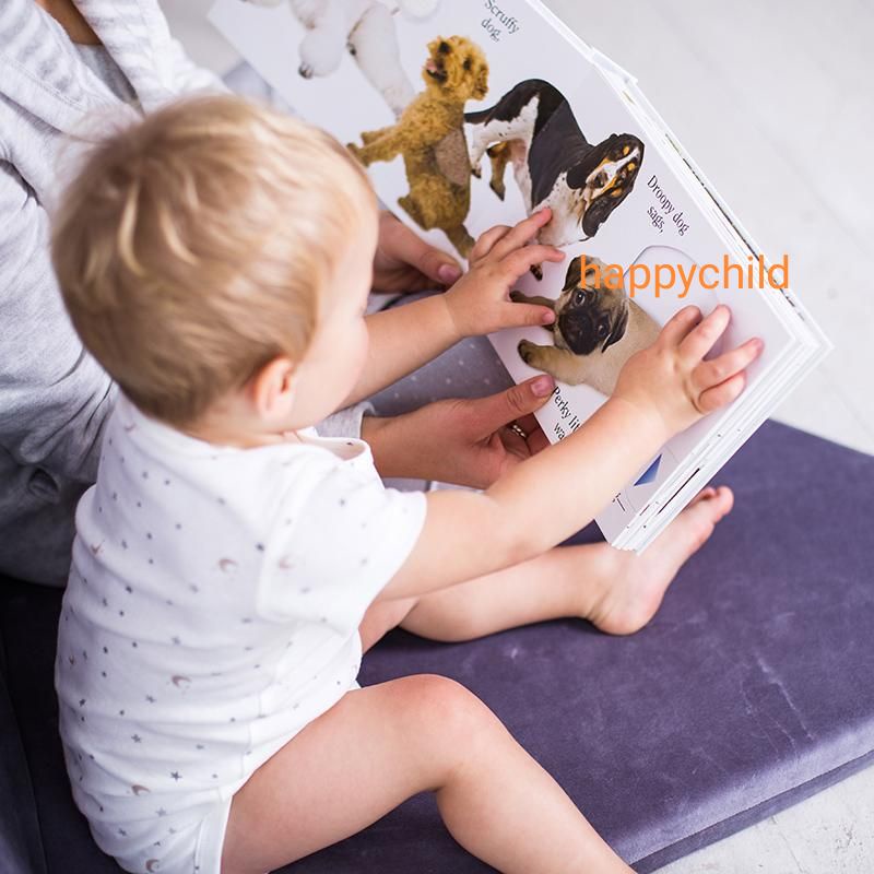 Original board book Moo Cat Dog by Van fleet buku anak buku inggris happychild