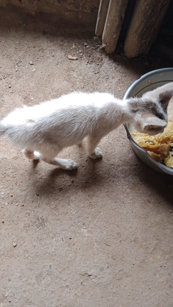 Cuci Gudang Celana Pendek Anak Celana Batik Murah