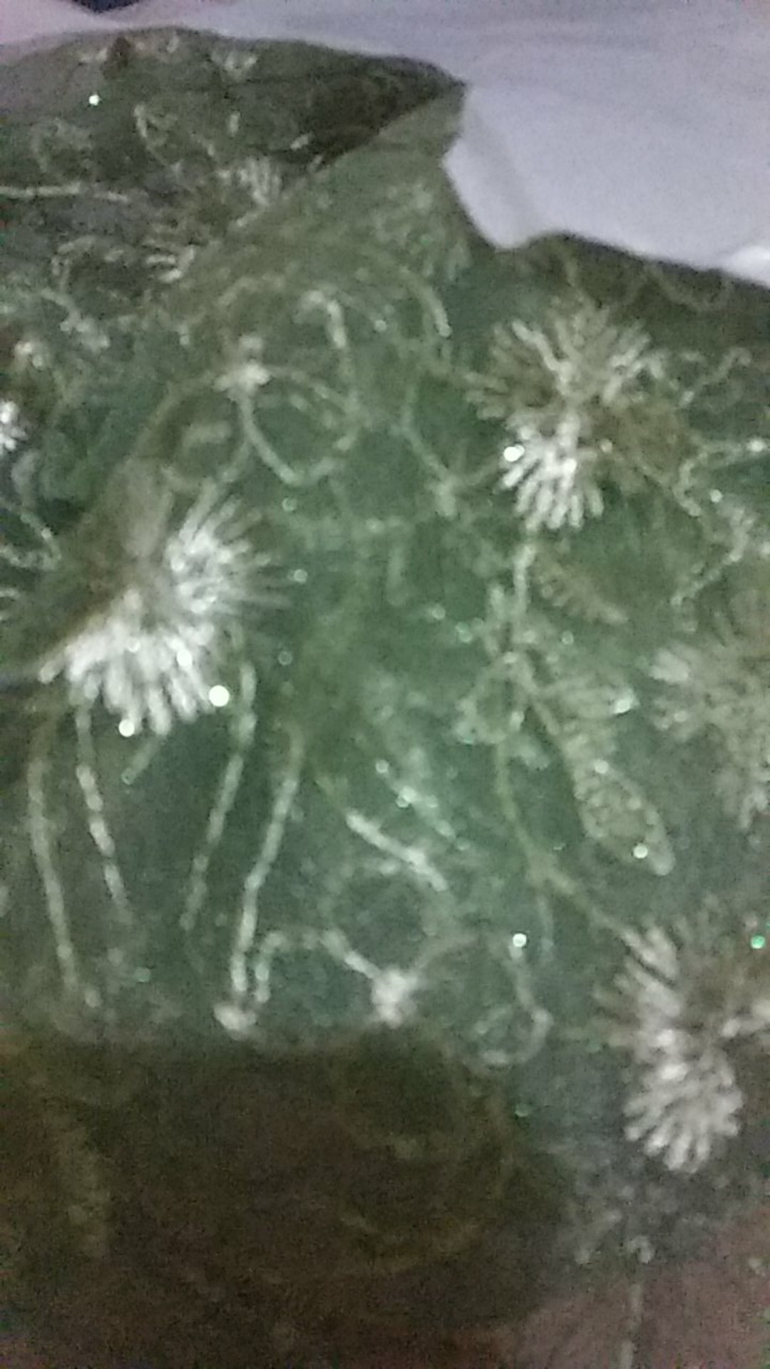 Outer Pearl Mutiara Daisy / Cape Pearl Daisy / Cape Tile Daisy Mutiara / Kebaya Tulle Tile Daisy