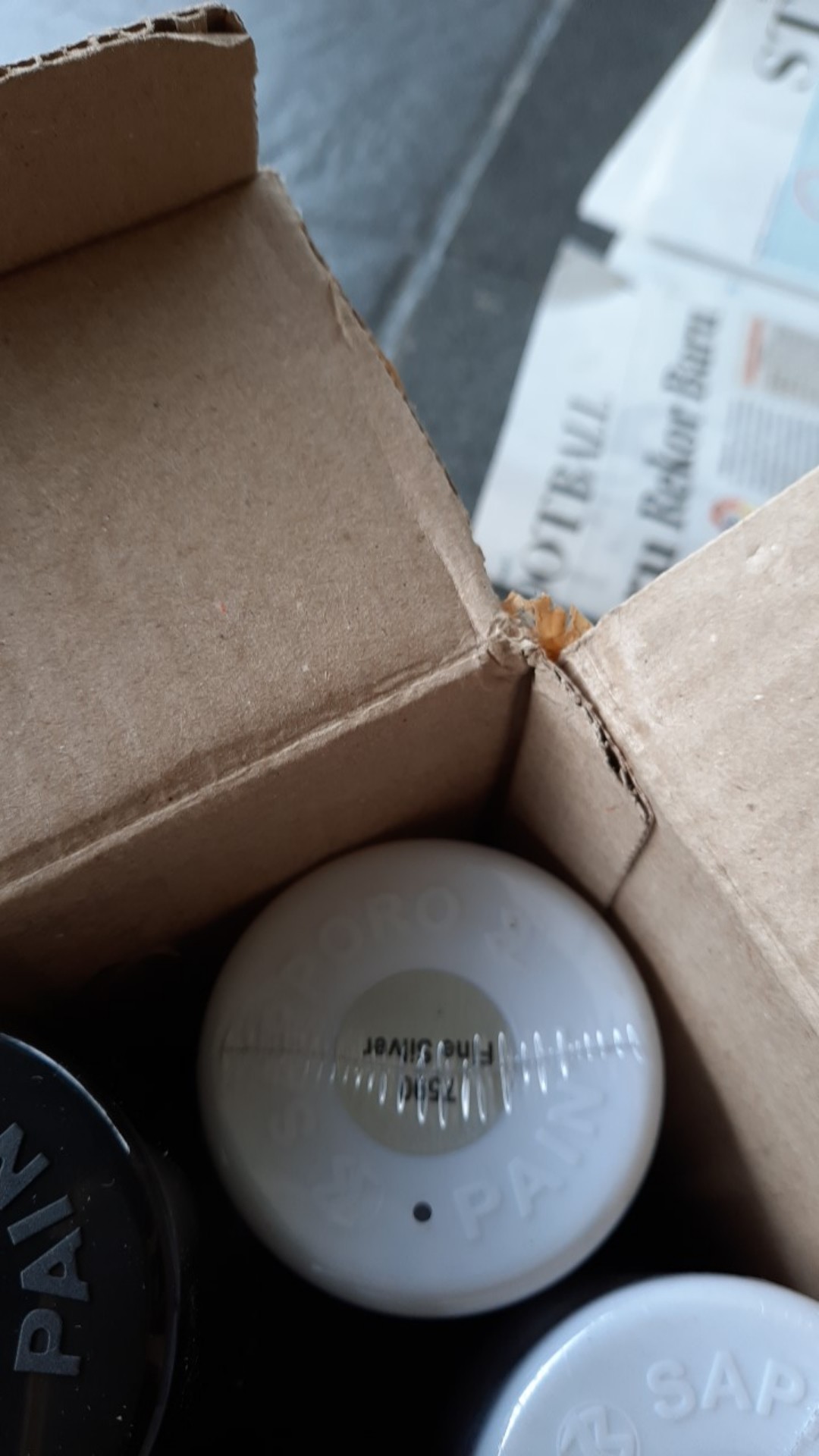 Fine Silver 7590 Dasaran Silver -- Sapporo Spray Paint Cat Semprot Aerosol