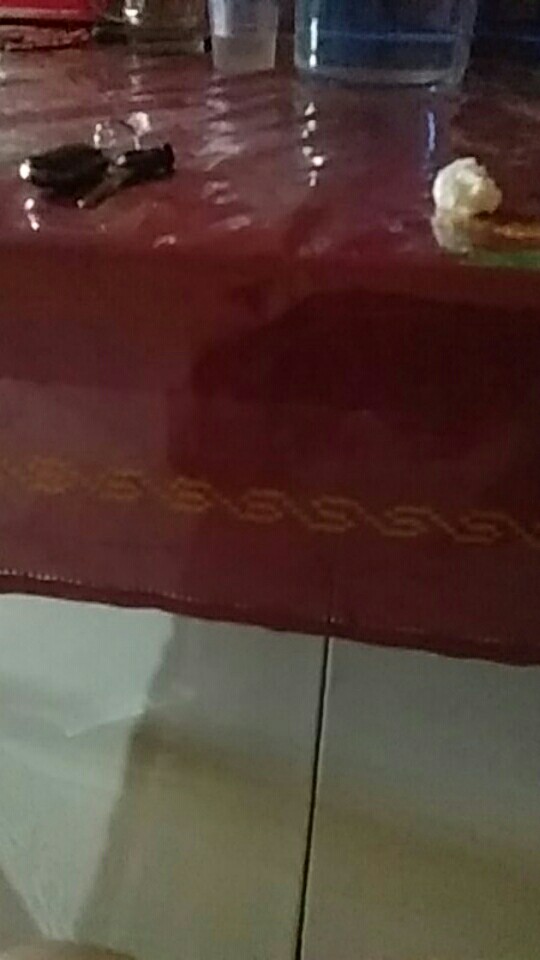 Pembersih Debu Pakaian Pembersih Debu Ketombe Mini Lint Roller Travel Dust Roller