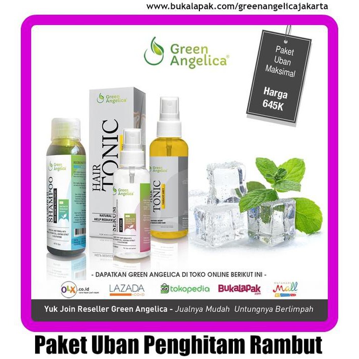 Special Product Hemat 70Rb Paket Perawatan Rambut Green Angeica (Shampo,Serum,Tonic) Limited Product