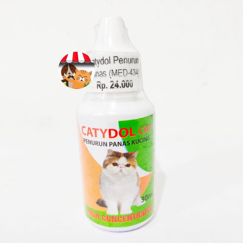Catydol cat - obat penurun panas kucing obat demam kitten