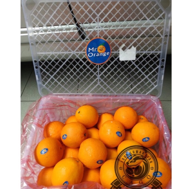 

Jeruk Sunkis Navel Mr Orange (13 KG) Fresh Import
