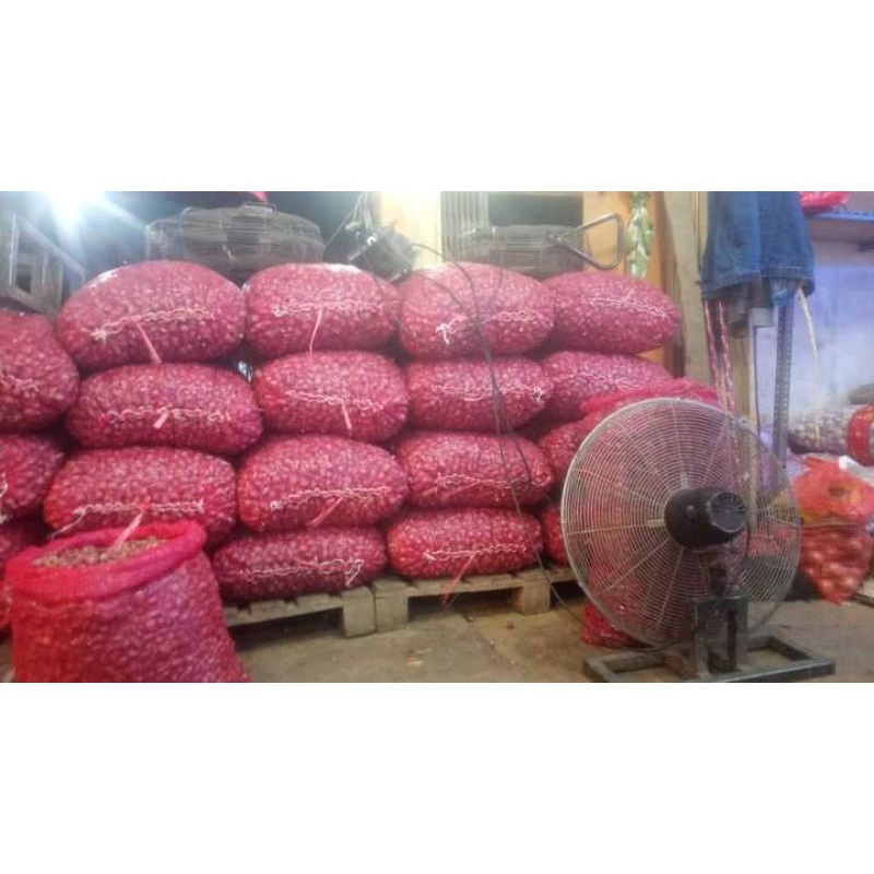 

Bawang Merah brebes Ukuran Besar 1 KG