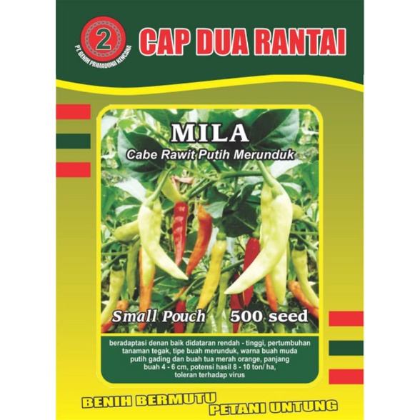 cabe rawit putih merunduk 500 seed _MILA