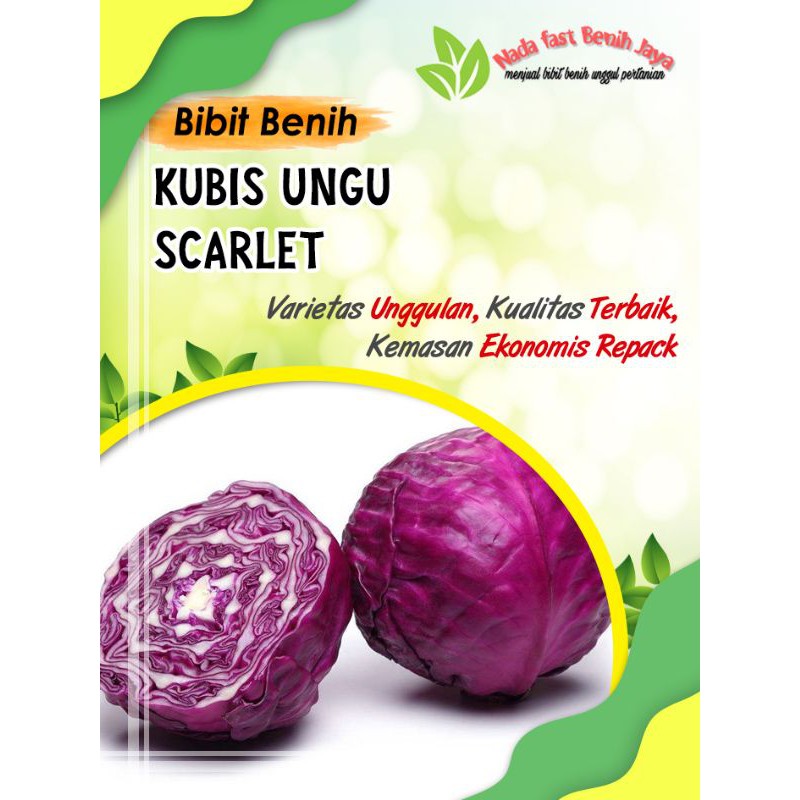 Benih Kubis ungu F1 Scarlet 10 biji - bibit kubis ungu