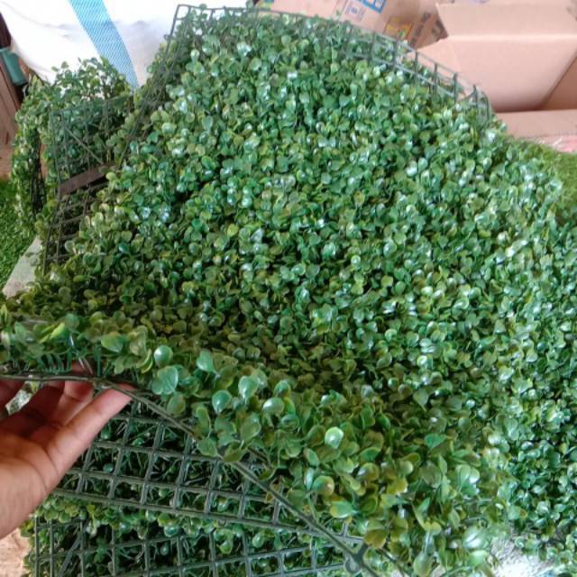 DAUN DOLAR Artifisial-daun dolar pelastik dinding-daun dolar sintetis