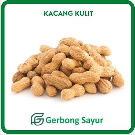 

Kacang Tanah Kulit / Kacang Kulit - 500 gram