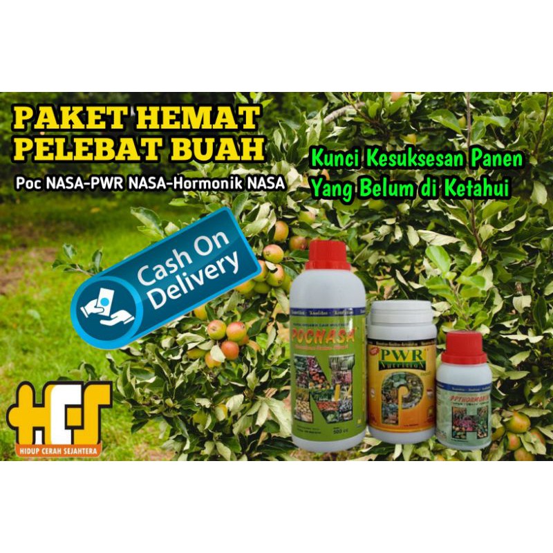 PAKET PERANGSANG BUAH LEBAT PUPUK NASA